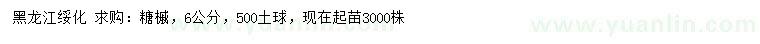 求購6公分糖槭