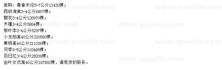 求購(gòu)青垂、西府海棠、櫻花