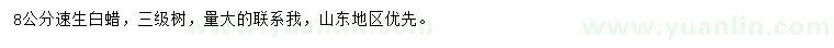 求購8公分速生白蠟