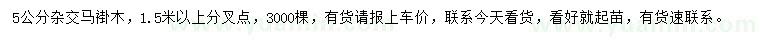 求購5公分雜交馬褂木