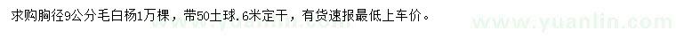 求購胸徑9公分毛白楊