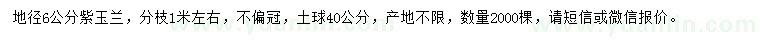 求購地徑6公分紫玉蘭