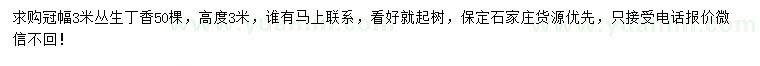 求購冠幅3米叢生丁香