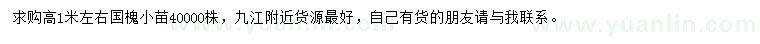 求購(gòu)高1米左右國(guó)槐小苗