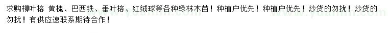 求購柳葉榕、黃槐、巴西鐵等