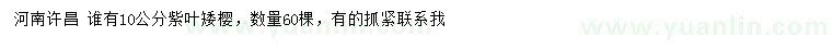 求購10公分紫葉矮櫻