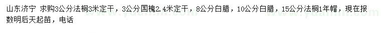 求購(gòu)法桐、國(guó)槐、白臘