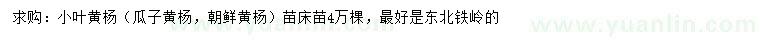 求購(gòu)小葉黃楊、瓜子黃楊、朝鮮黃楊