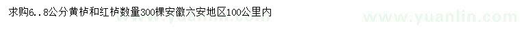 求購6、8公分黃櫨、紅櫨