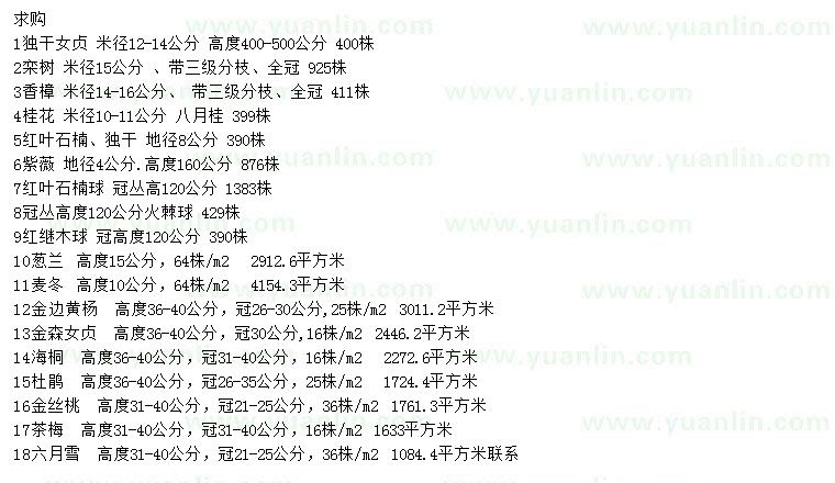 求購獨干女貞、欒樹、香樟等