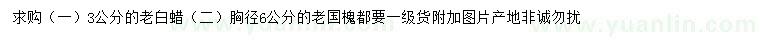 求購(gòu)3公分老白蠟、胸徑6公分老國(guó)槐