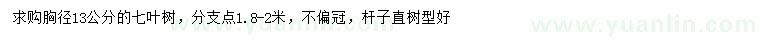 求購胸徑13公分七葉樹
