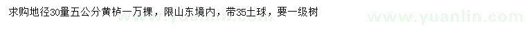 求購地徑30量5公分黃櫨