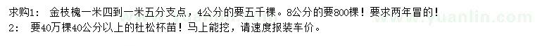 求購4、5公分金枝槐、40公分以上杜松