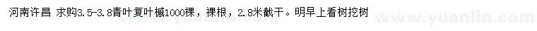 求購(gòu)3.5-3.8米青葉復(fù)葉槭