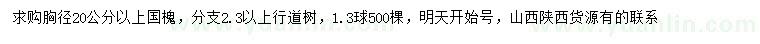 求購胸徑20公分以上國槐