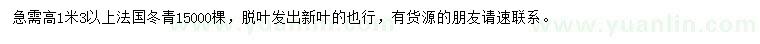 求購高1.3米以上法國冬青