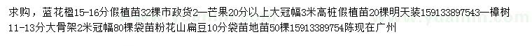 求購(gòu)藍(lán)花楹假植苗、芒果、樟樹
