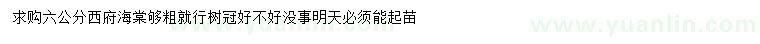 求購(gòu)6公分西府海棠 
