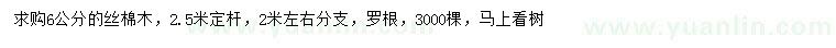 求購6公分絲棉木