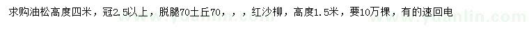 求購高4米油松、1.5米紅沙柳