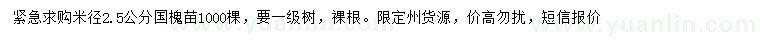 求購(gòu)米徑2.5公分國(guó)槐苗