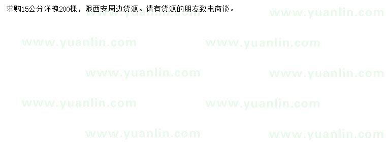 求購15公分洋槐