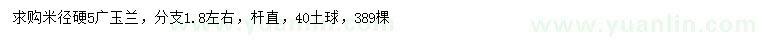 求購米徑5公分廣玉蘭