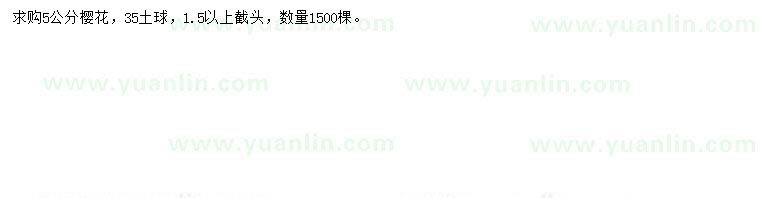 求購5公分櫻花