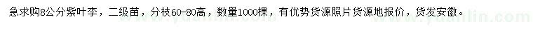 求購(gòu)8公分紫葉李