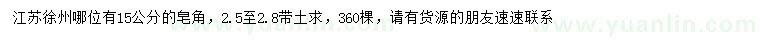 求購15公分皂角