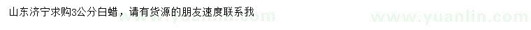 求購(gòu)3公分白蠟