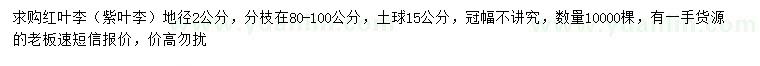 求購(gòu)地徑2公分紅葉李（紫葉李）