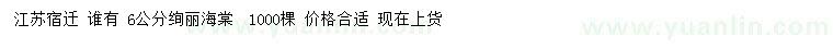 求購6公分絢麗海棠
