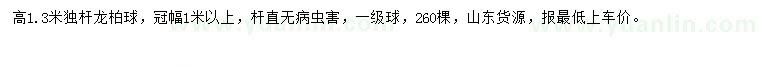求購高1.3米龍柏球