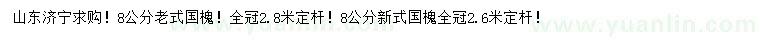 求購8公分老式國槐、新式國槐