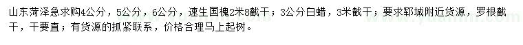 求購4、5、6公分速生國槐、3公分白蠟