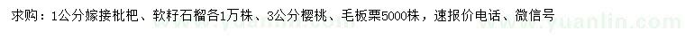 求購1公分嫁接枇杷、軟籽石榴