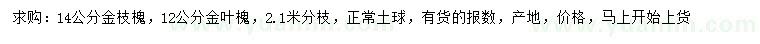 求購14公分金枝槐、12公分金葉槐