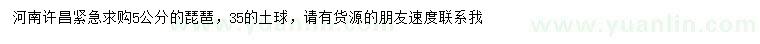求購5公分琵琶
