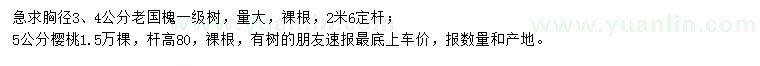 求購(gòu)胸徑3、4公分老國(guó)槐