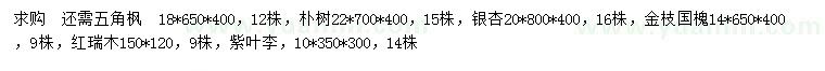 求購大葉女貞、樸樹、銀杏等