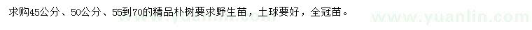 求購45、50、55-70公分樸樹
