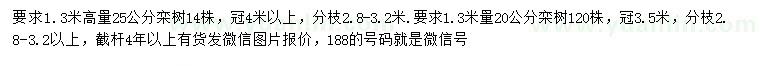 求購高1.3米量20、25公分欒樹