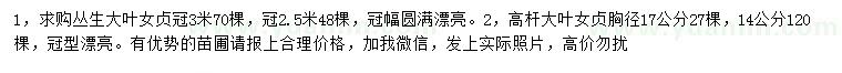 求購(gòu)冠幅2.5、3米叢生大葉女貞、胸徑14、17公分高桿大葉女貞