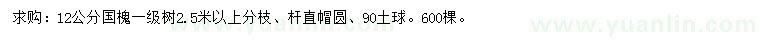 求購(gòu)12公分國(guó)槐