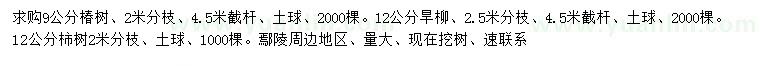 求購(gòu)椿樹、旱柳、柿樹