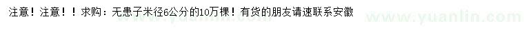 求購米徑6公分無患子