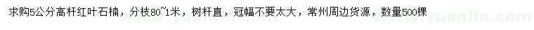 求購5公分高桿紅葉石楠