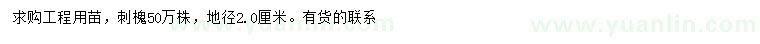 求購地徑2公分刺槐
